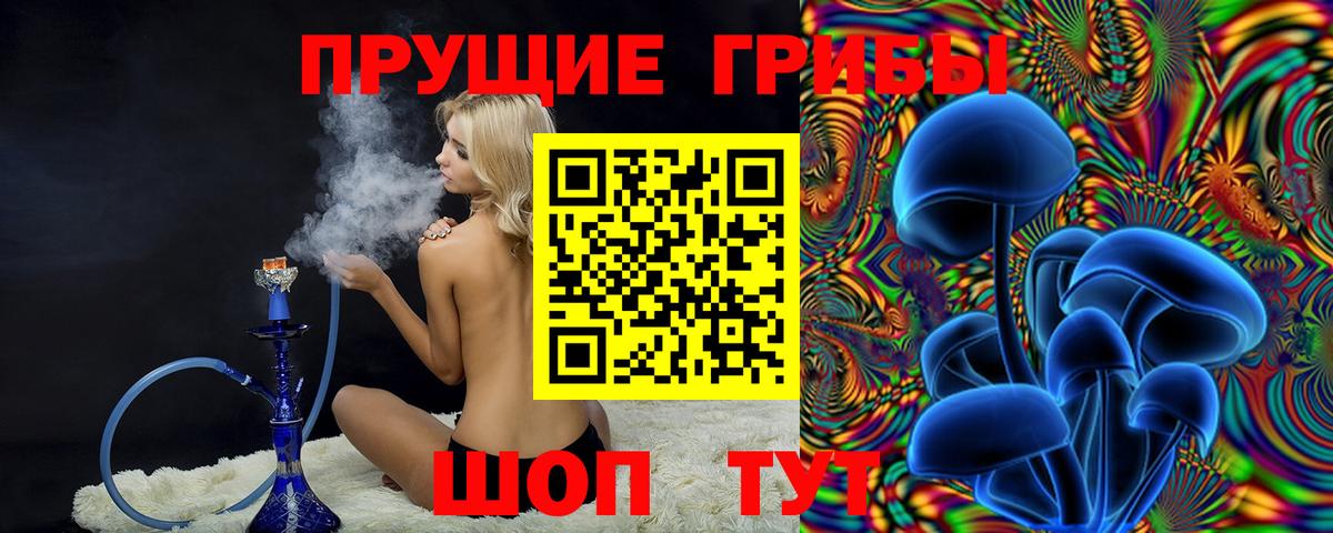 Калининград  Псилоцибиновые грибы мицелий  Вход с VPN  купить наркотик  Галлюциногенные грибы мицелий 
