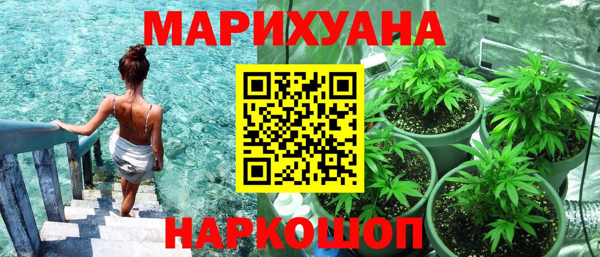 Конопля планчик  Вход с VPN  Калининград  Бошки Шишки тримм 